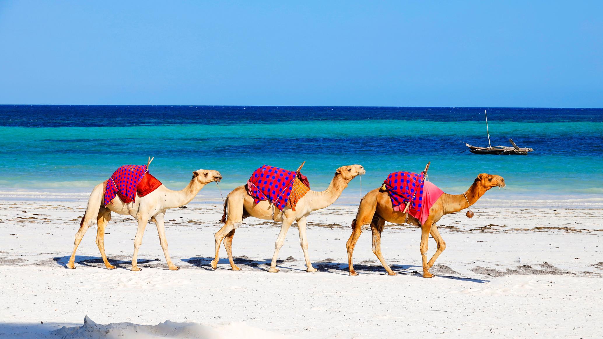 Chama Deals 3 Days 2025 Diani Package